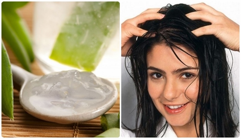 công thức dưỡng tóc từ gel nha đam